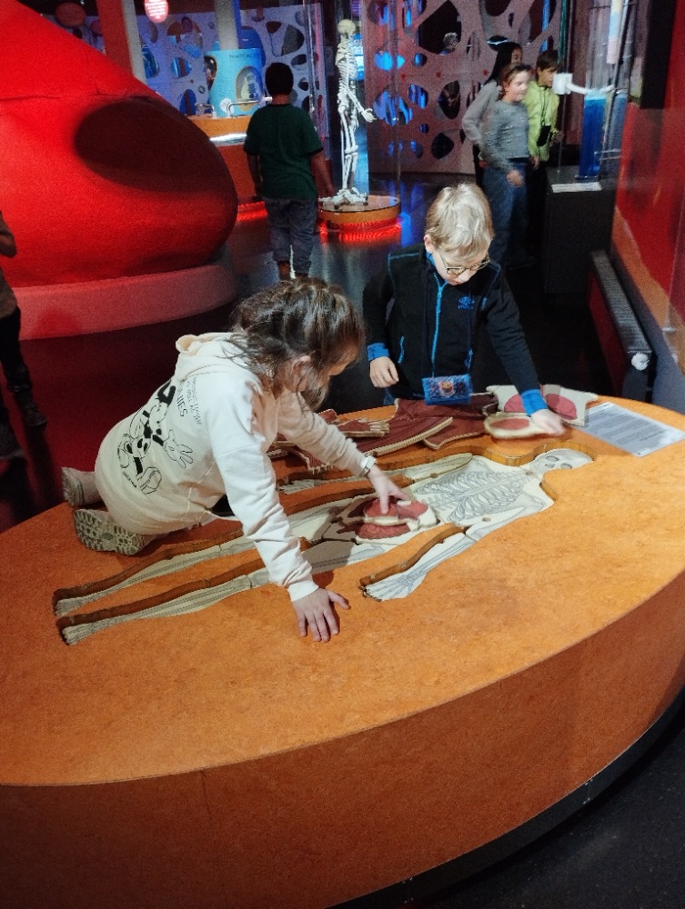 IMG_20230131_144208.jpg